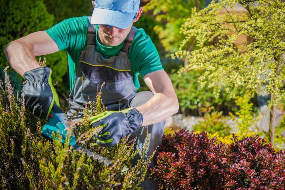 Plantation et enlèvement de plantes